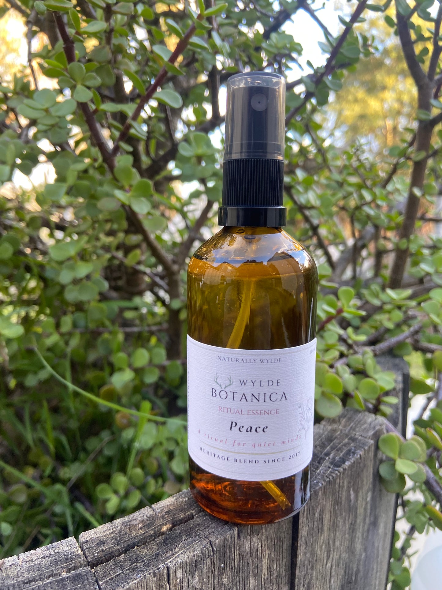 Peace Ritual Essence