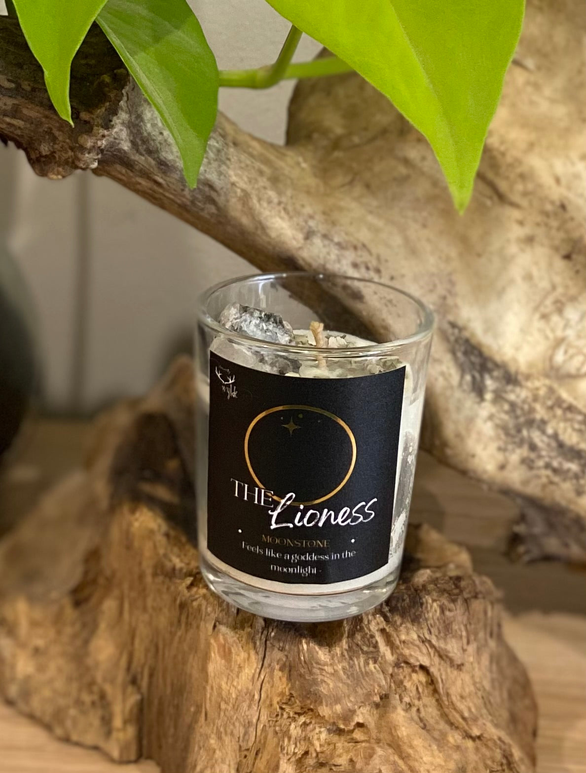 The Lioness Candle