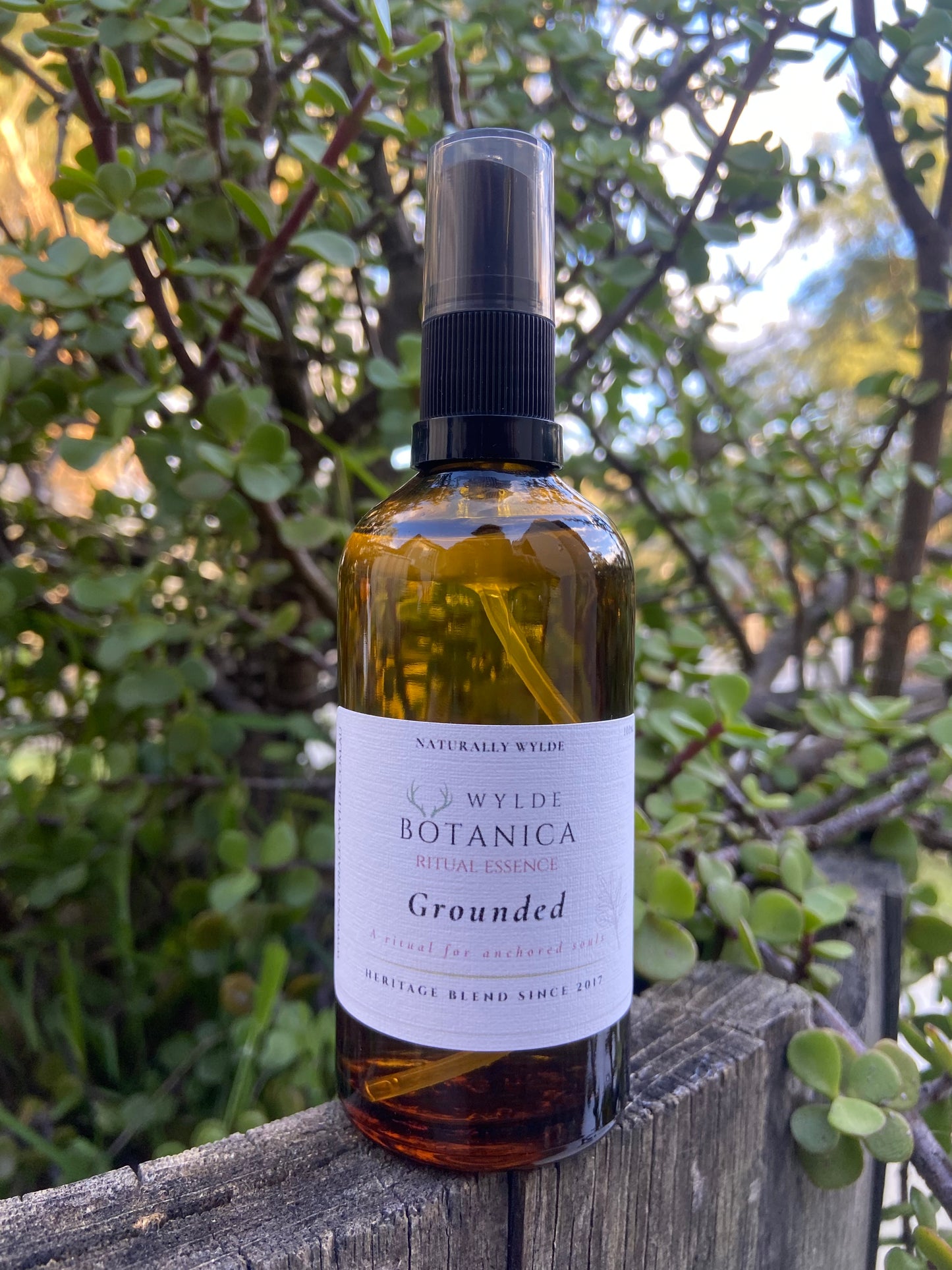 Grounded Ritual Essence
