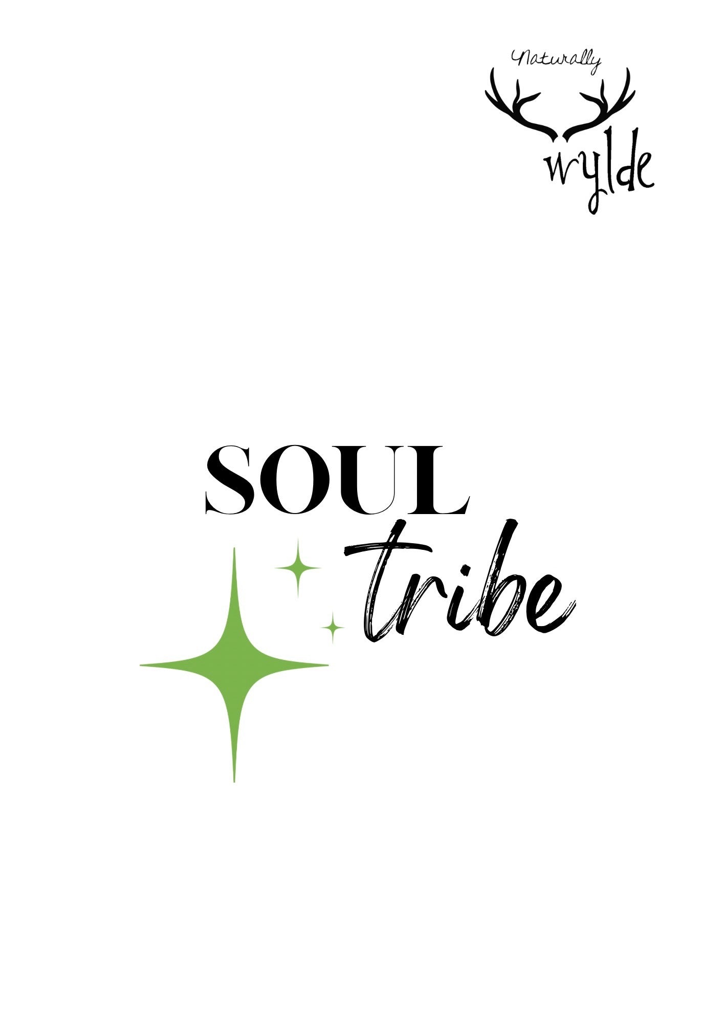 SOUL TRIBE - RISE