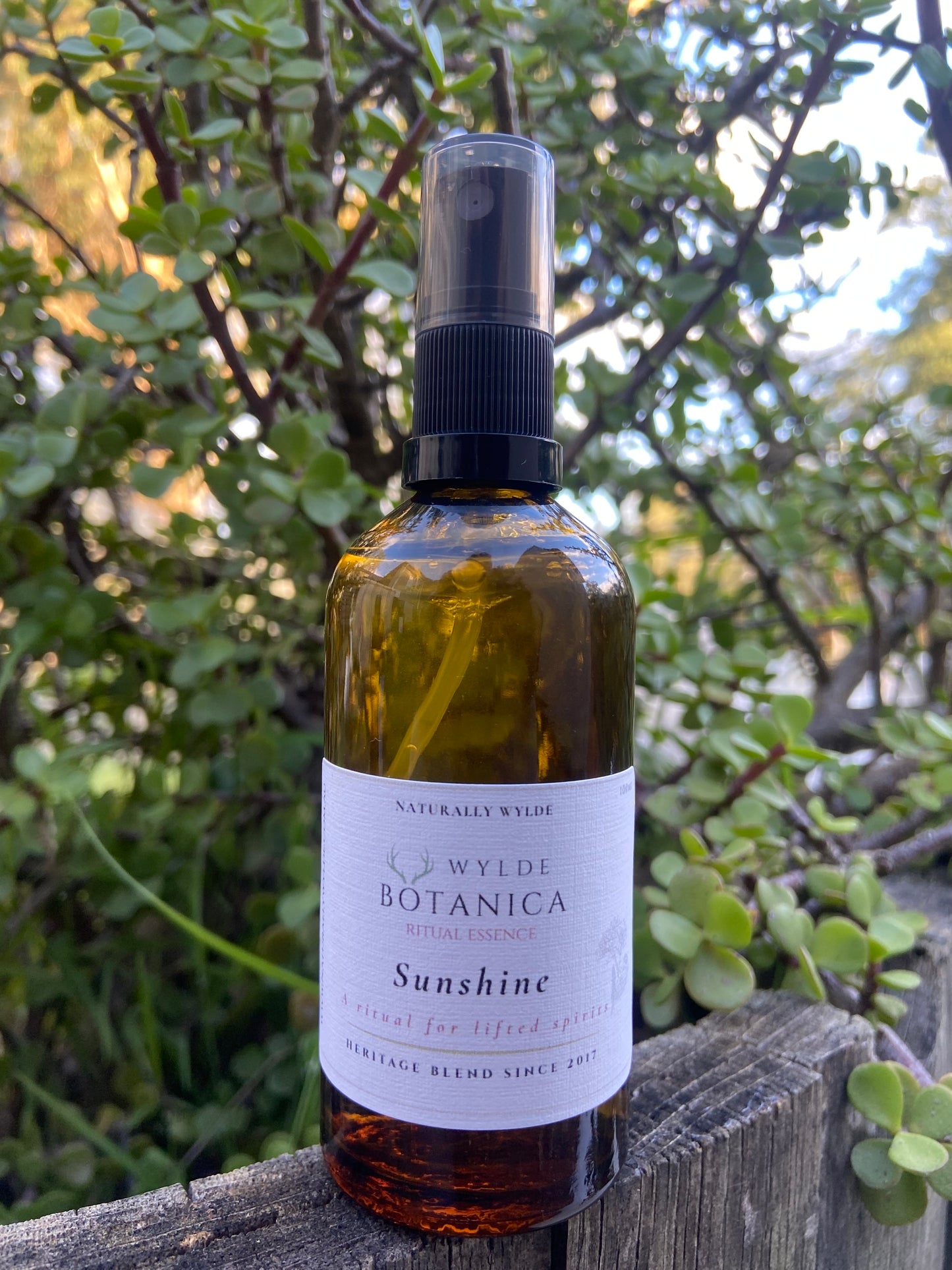 Sunshine Ritual Essence