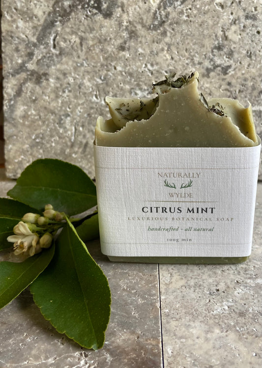 Citrus Mint Soap - Preorder