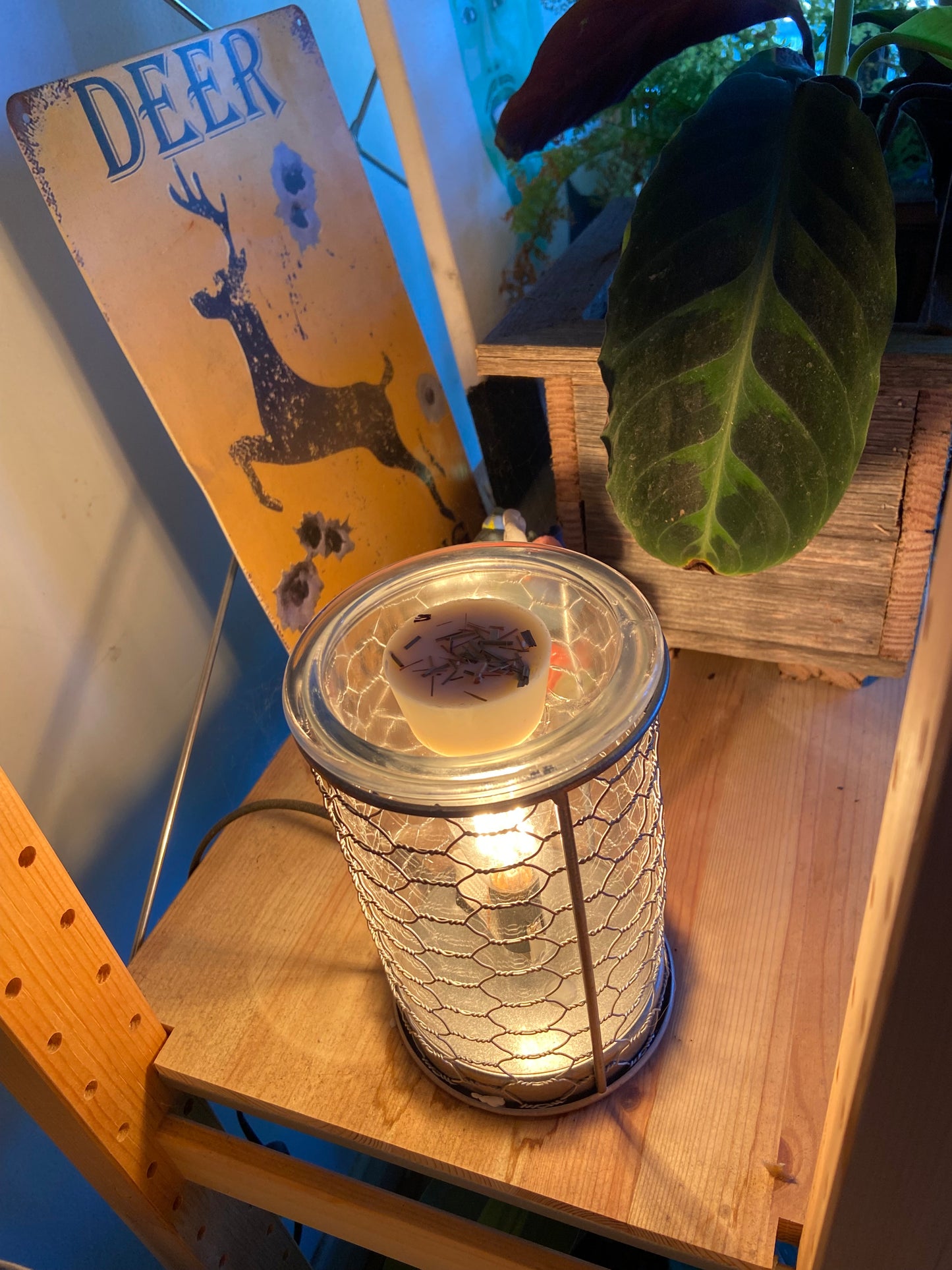 Wylde Botanica SOY WAX MELTS - HEARTH