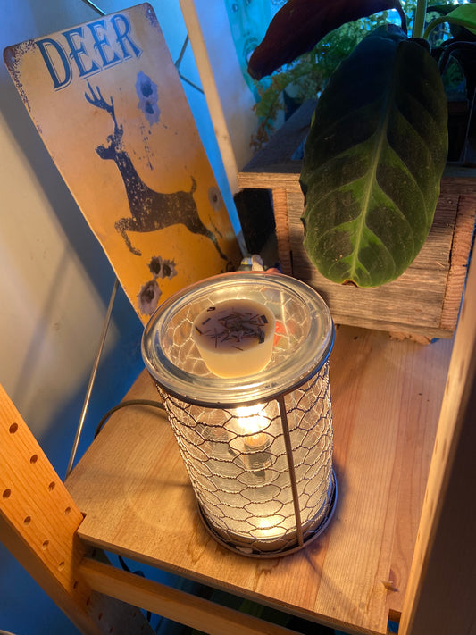 Wylde Botanica SOY WAX MELTS - HEARTH