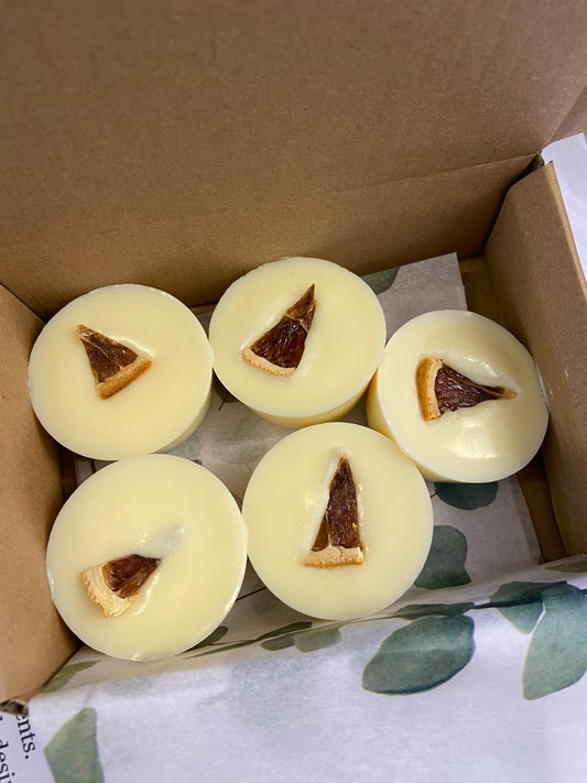 Wylde Botanica SOY WAX MELTS - EMBER