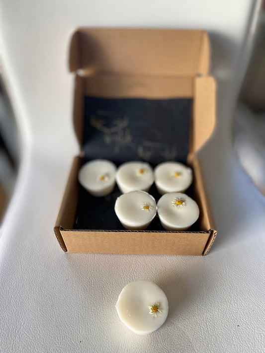 SUNSHINE Wylde Melts ~ Soy Wax with essential oils and floral herbs image 0