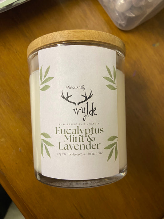 Eucalyptus, Mint & Lavender Candle -Pure Essential Oils image 0