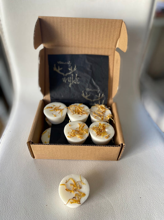 AUSSIE LEMONADE Wylde Melts ~ Soy Wax with essential oils and floral herbs. image 0